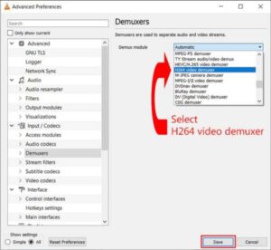 Select "H264 video demuxer" or HEVC/H.265 video demuxer in the Demux module.